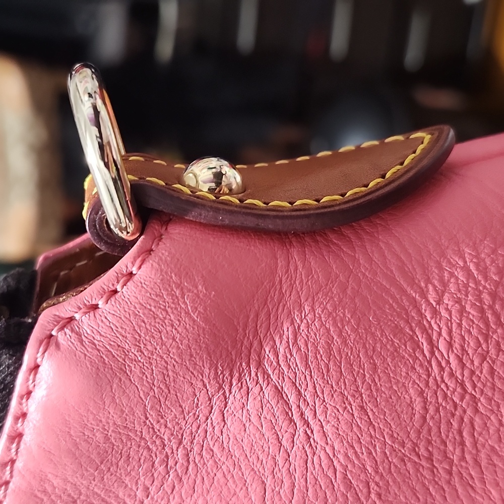 Dooney & Bourke Florentine Vacchetta Leather Satchel - Picture 10 of 16